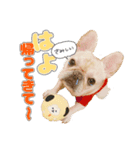 とふぁちゃんスタンプ（個別スタンプ：6）