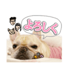 とふぁちゃんスタンプ（個別スタンプ：8）