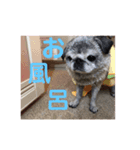 あいといっしょ（個別スタンプ：4）