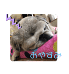 あいといっしょ（個別スタンプ：8）