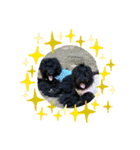 吉田アルマ一家（個別スタンプ：1）