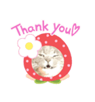 うちのにゃんこです.（個別スタンプ：4）