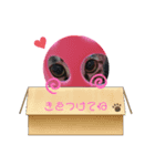 うちのにゃんこです.（個別スタンプ：5）