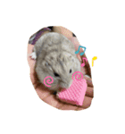 ハムハムスターズ（個別スタンプ：4）