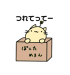 ねこさん(フリーダム)（個別スタンプ：12）