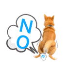 柴犬 もなかくん（個別スタンプ：2）