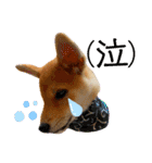柴犬 もなかくん（個別スタンプ：38）