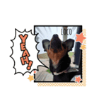 ロコさんスタンプ（個別スタンプ：6）