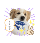 レッボー兄弟＋α（個別スタンプ：3）