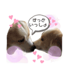 レッボー兄弟＋α（個別スタンプ：5）