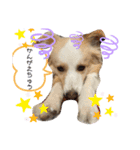 レッボー兄弟＋α（個別スタンプ：8）