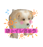 レッボー兄弟＋α（個別スタンプ：12）