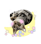 可愛いあにゅう2（個別スタンプ：5）