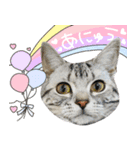 可愛いあにゅう2（個別スタンプ：6）