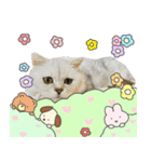 可愛いあにゅう2（個別スタンプ：7）