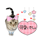 可愛いあにゅう2（個別スタンプ：13）