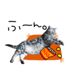 可愛いあにゅう2（個別スタンプ：14）