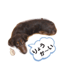 茶色い犬マックのスタンプ（個別スタンプ：5）