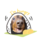 茶色い犬マックのスタンプ（個別スタンプ：13）