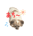 かおわん（個別スタンプ：8）