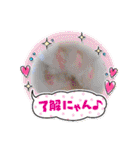 お返事ニャン（個別スタンプ：1）