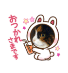 お返事ニャン（個別スタンプ：10）