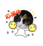 お返事ニャン（個別スタンプ：14）