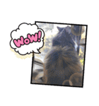 お返事ニャン（個別スタンプ：17）