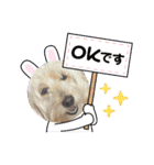 お返事ニャン（個別スタンプ：30）