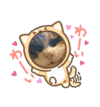 お返事ニャン（個別スタンプ：31）