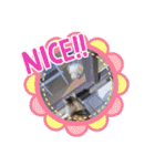 お返事ニャン（個別スタンプ：37）