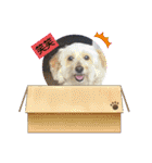 お返事ニャン（個別スタンプ：39）