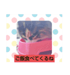 お返事ニャン（個別スタンプ：40）