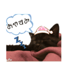 ソルくんのスタンプ。（個別スタンプ：2）