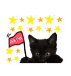 ソルくんのスタンプ。（個別スタンプ：14）