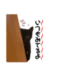 ソルくんのスタンプ。（個別スタンプ：17）