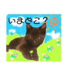 ソルくんのスタンプ。（個別スタンプ：24）