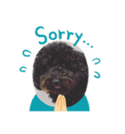 愛犬のスタンプです☺️（個別スタンプ：8）