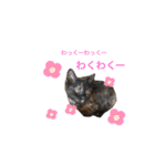 テンちゃんスタンプその3（個別スタンプ：7）