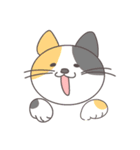 こう 専用（個別スタンプ：6）