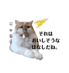 福猫＆花猫〜第6弾〜（個別スタンプ：2）