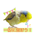 ヨウムのるいちゃんと仲間たち（個別スタンプ：23）
