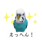 ヨウムのるいちゃんと仲間たち（個別スタンプ：25）