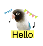 ヨウムのるいちゃんと仲間たち（個別スタンプ：31）