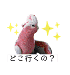 ヨウムのるいちゃんと仲間たち（個別スタンプ：33）