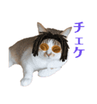 なかつるにゃんきょうだい！（個別スタンプ：30）