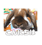 ゆーま公式24①（個別スタンプ：2）