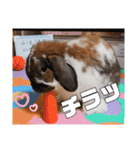 ゆーま公式24①（個別スタンプ：5）