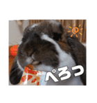 ゆーま公式24①（個別スタンプ：6）
