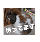 ゆーま公式24①（個別スタンプ：7）